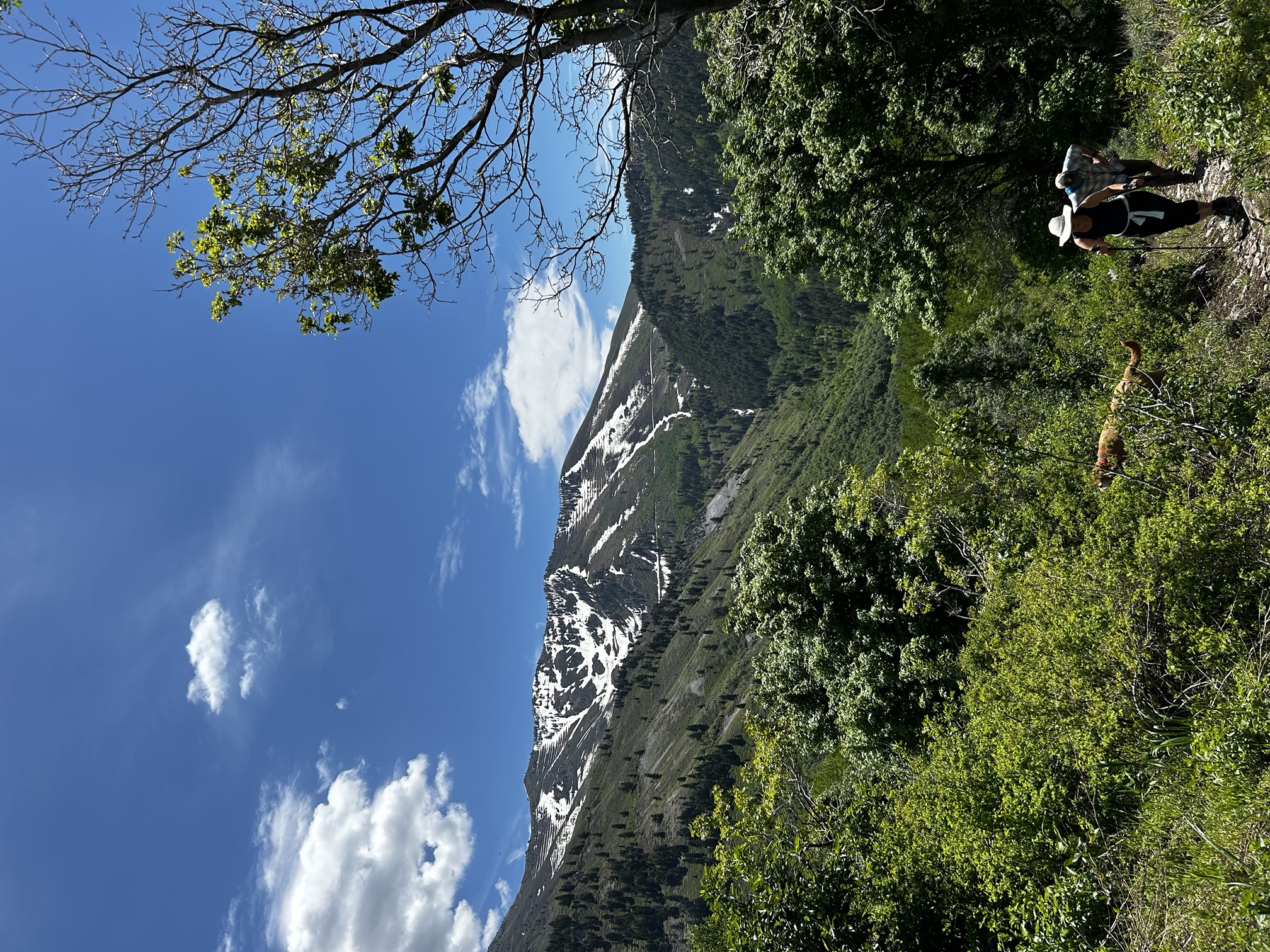 5-hike-challenge