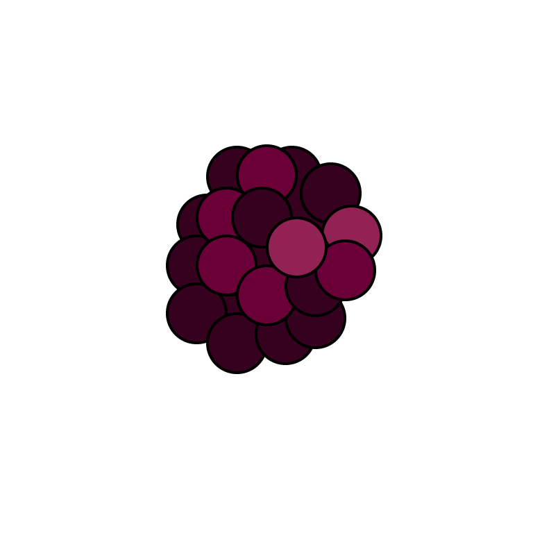 raspberry icon.png