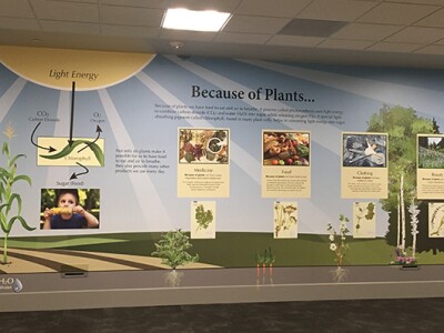 Because-of-Plants wall exhibit.jpg