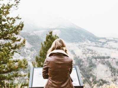 Information Landscape