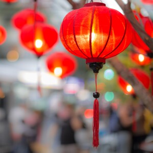 Red lanterns hanging from tree