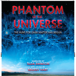 Phantom of the Universe