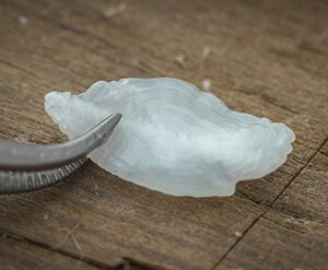 Otolith_Mark-Belk_Alaska_3.jpg
