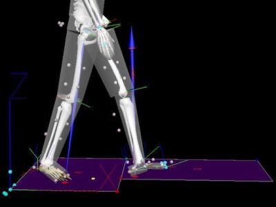 Limb Biomechanics Research