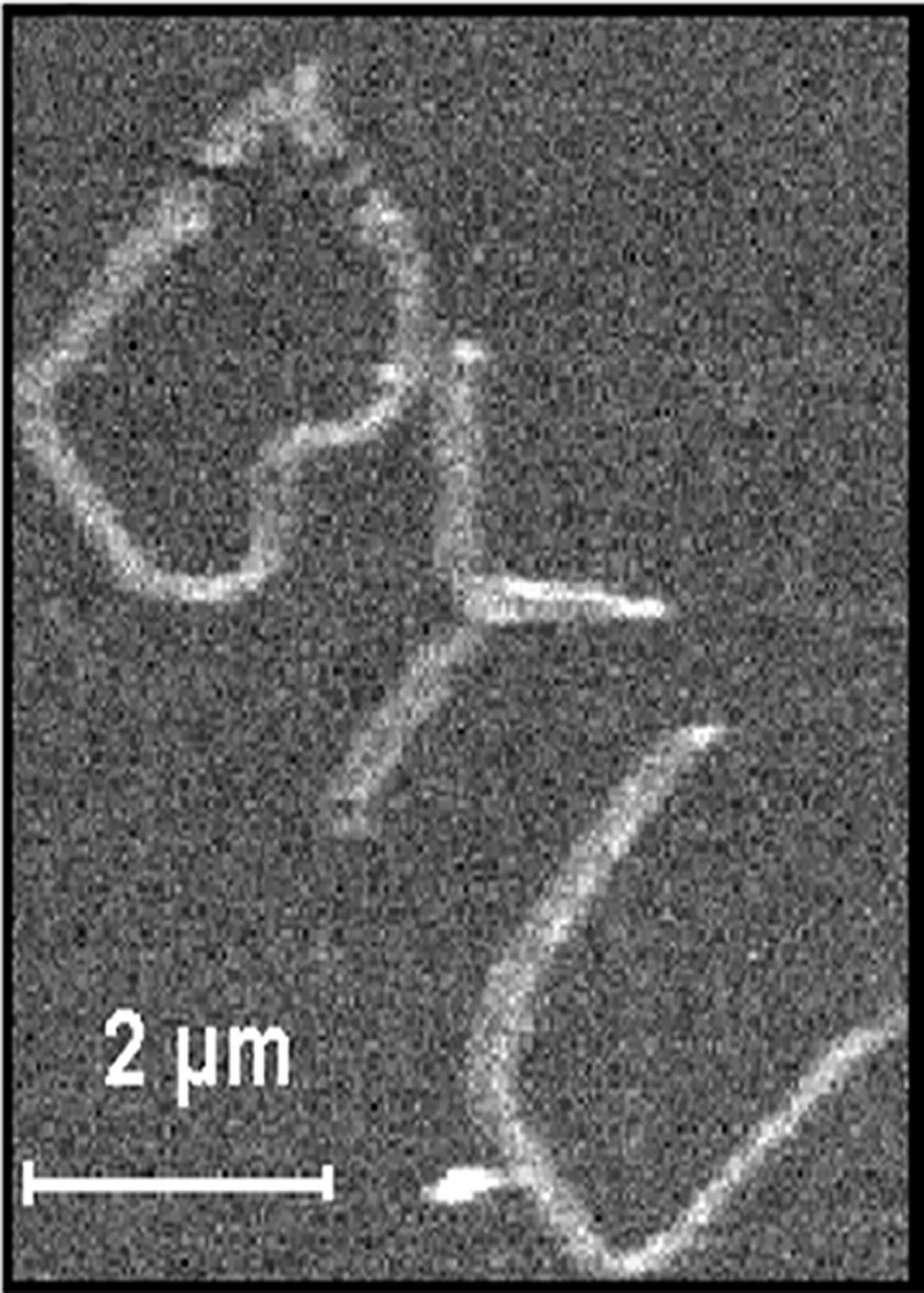 nanotech-l.jpg