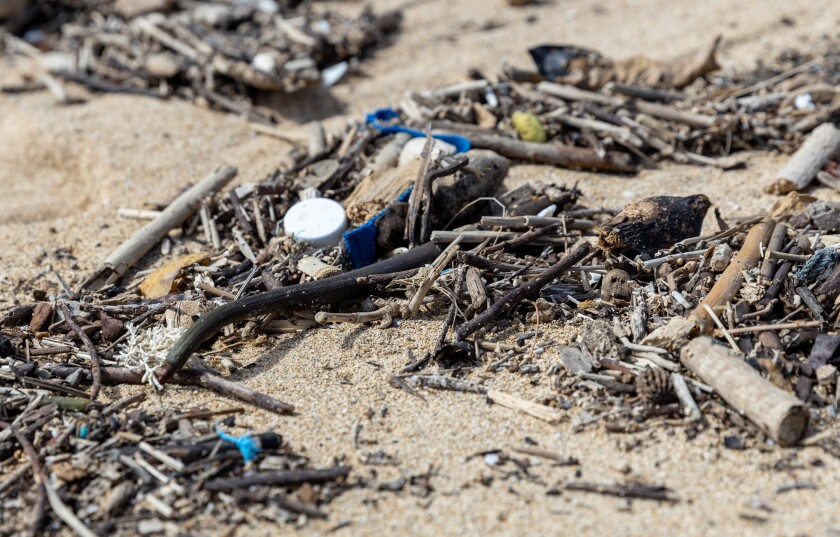 A close-up shot of trash found on Pounders Beach.