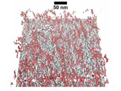 E. coli Peptidoglycan