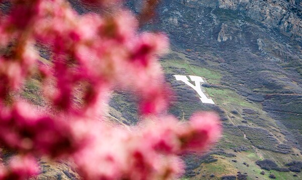Y Mountain.jpg