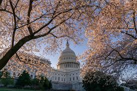 Image of the United States Capital Building