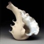 mollusk shell.jpg