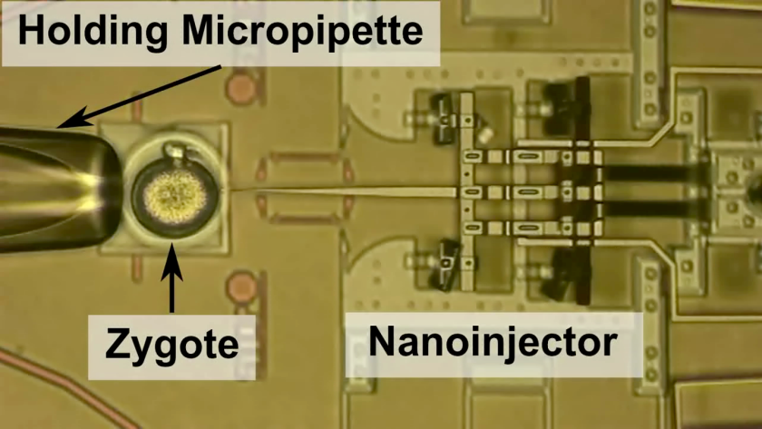 Nanoinjector
