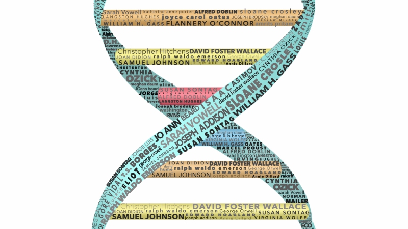 Essay Genome Project