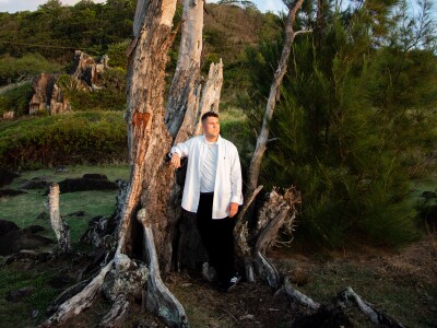 A man poses by an old tree and gazes off into the distance