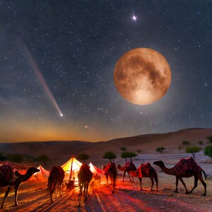 Christmas show image