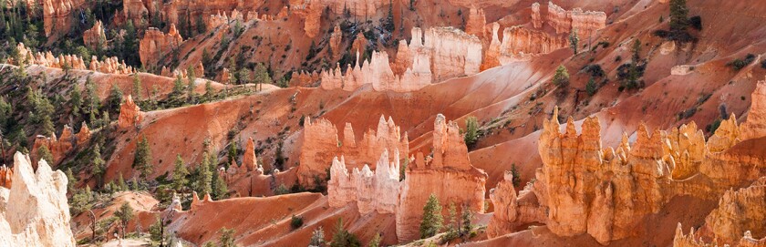 lands red rock canyon.jpg