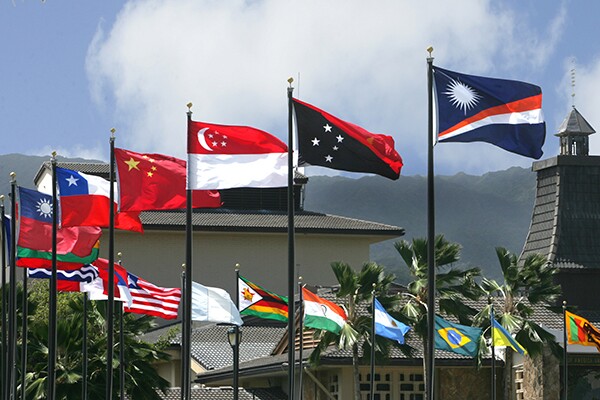 11Flags7971 cropped.jpg