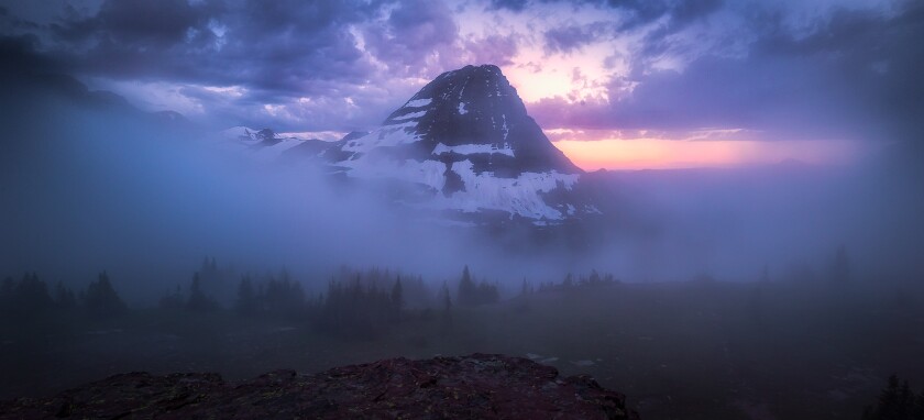 Mindfulness module.jpg