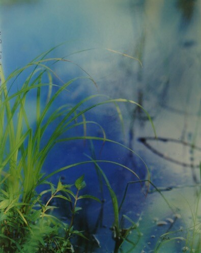 GREEN GRASSES-BLUE