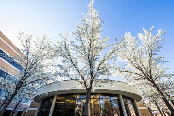 Image of the Ezra Taft Benson Building
