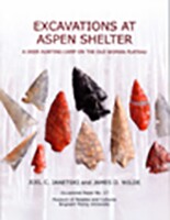 cover Aspen Shelter.jpg