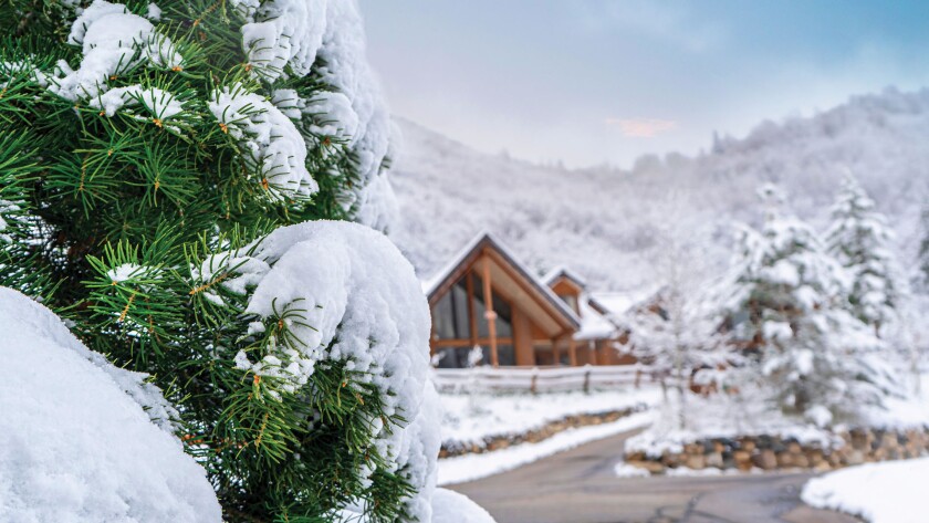 Winter Retreat Photo