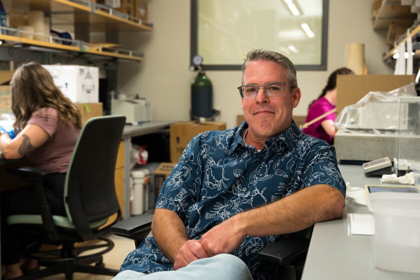 Blaine Griffen, a man with glasses dressed in a blue Hawaiian shirt decorated with crabs, smiles while sitting at a desk.
