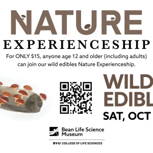 2025-10-25 Nature Experience Wild Edibles
For ONLY $15, anyone age 12 and older (including adults) can enjoy our wild edibles Nature Experienceship.
Wild Edibles
Saturday, October 25 @ 9 AM
