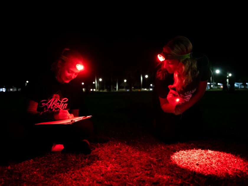 Two female students, both wearing head lamps with red light, on a lawn at BYUH. One is holding a clipboard and recording data with a pencil, and the other is pointing a small red flashlight onto the grass to reveal a cricket. Everything is dark except for where the red light is shining.