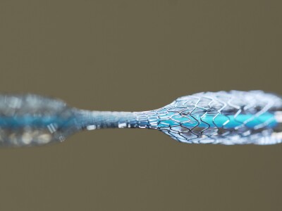 2012-061 photo