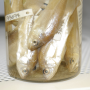 Fish in a jar numbered.png