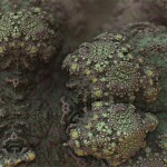 A microscopic look at mold spores.