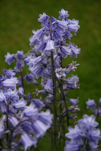 img_9983.jpeg
