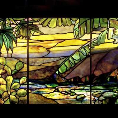 Neustadt Tropical Landscape