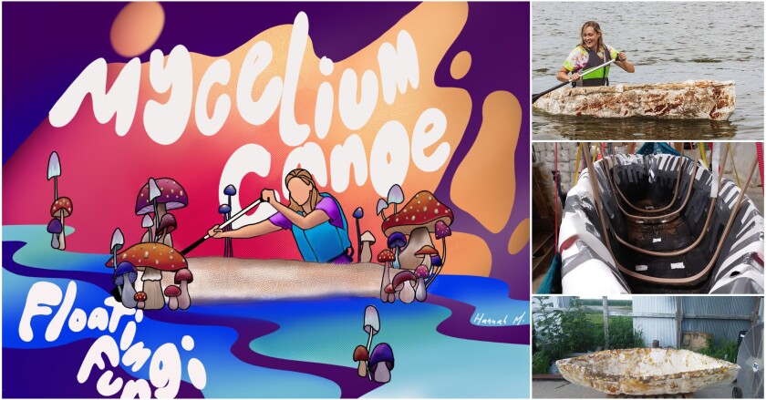 Left side is a graphic of woman rowing in a boat with mushrooms growing off of it with the words "Mycelium canoe, floating fungi." On the right are three pictures of the real boat made from mycelium.