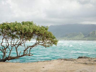 Image of the Point in Laie, Hawaii