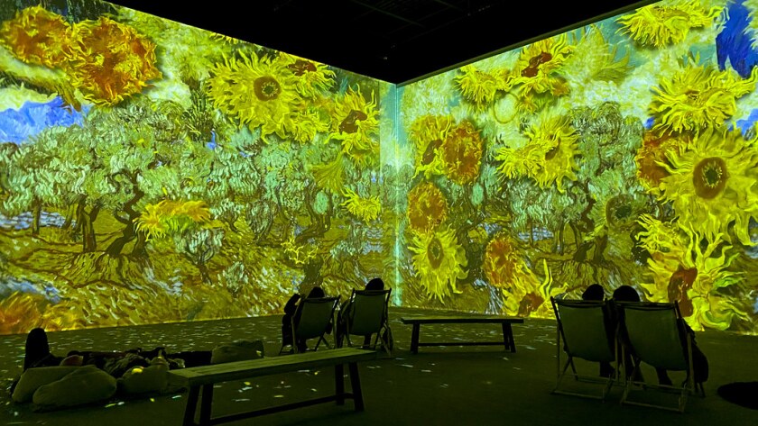 immersive museum experience