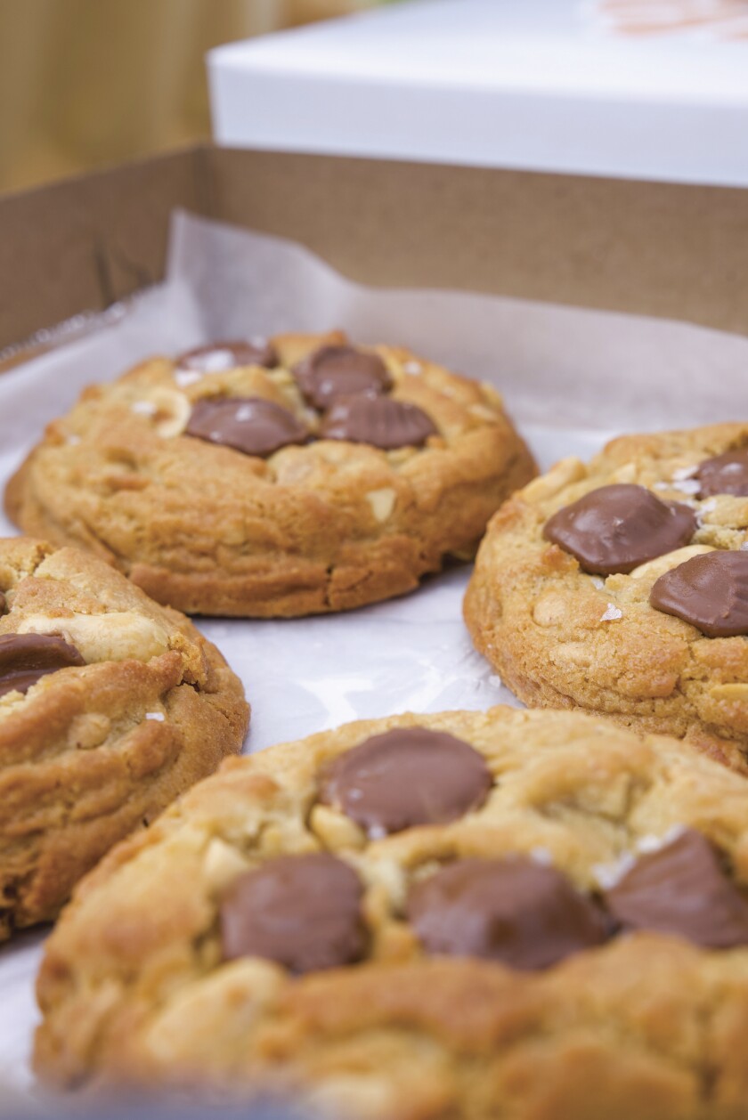 A close-up shot of cookies with chunks of chocolate on them.