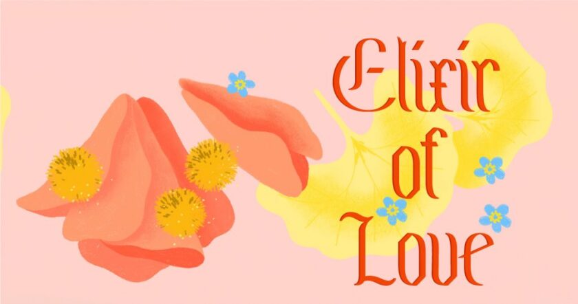 An image that says Elixir of Love