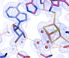 Electron Density
