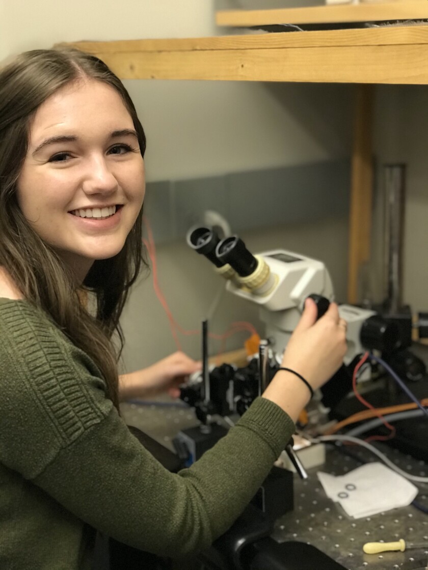 Anna Everett microscope