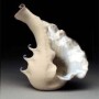 mollusk shell.jpg