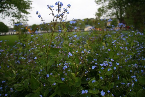 img_9959.jpeg