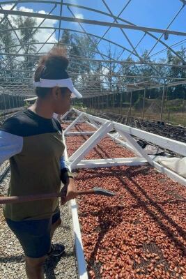 portrait shot of woman raking cocoa beans