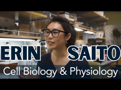 BYU Life Science PhD student researches diet and lifestyle influence on Alzheimer's Disease