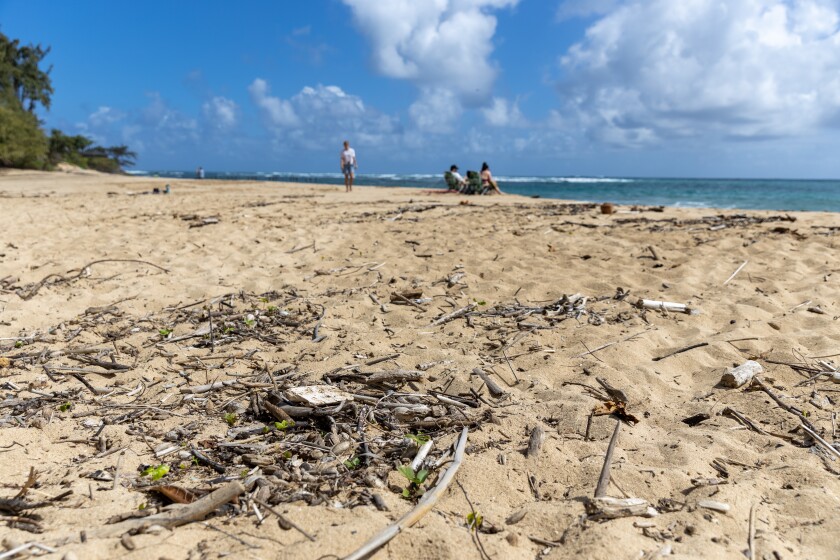 Debris sits on the beach in the foreground with people and ocean in the background.