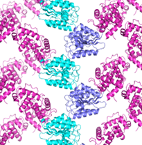 side view of TELSAM--target protein crystal lattice
