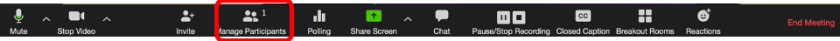 Click Manage Participants.