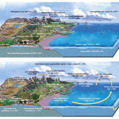 WaterCycle.jpg