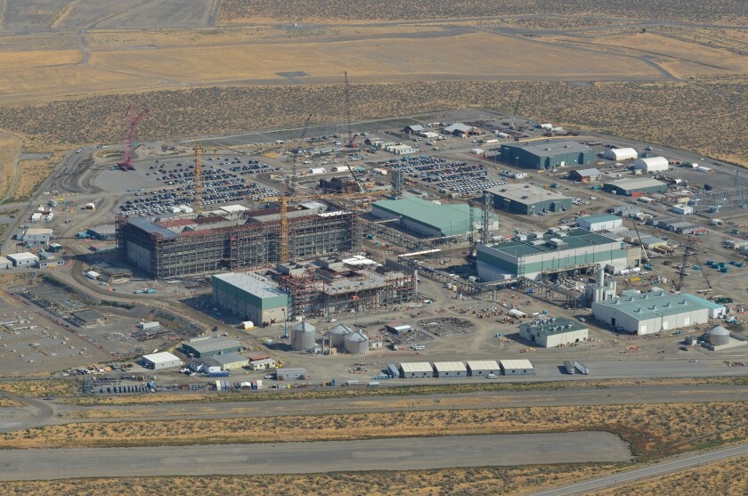 kim irwin plant