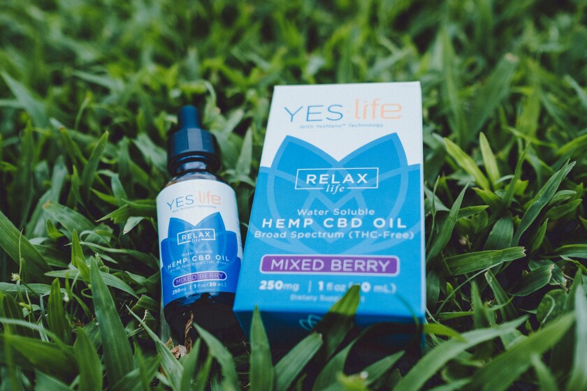 A bottle of hemp CBD oil in the grass next to its packaging case.